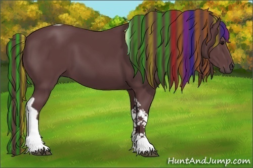 Horse Color:Painted Chocolate Smoky Black Tobiano 