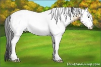 Horse Color:White Spotted Brown Ice Onyx