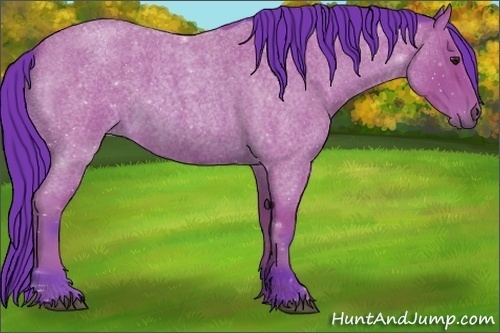 Horse Color:Watercolor Bay Roan 