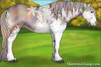 Horse Color:Nacre White Spotted Silver Blue Onyx Ice