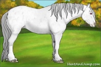 Horse Color:Bay Chinchilla Ice Varnish