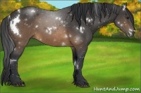 Horse Color:White Spotted Buckskin