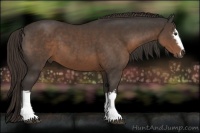 Horse Color:White Spotted Liver Chestnut Sabino 