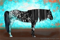 Horse Color:Brown Onyx Sabino Tobiano Snowflake Varnish and ERROR: UNKNOWN ANOMALY