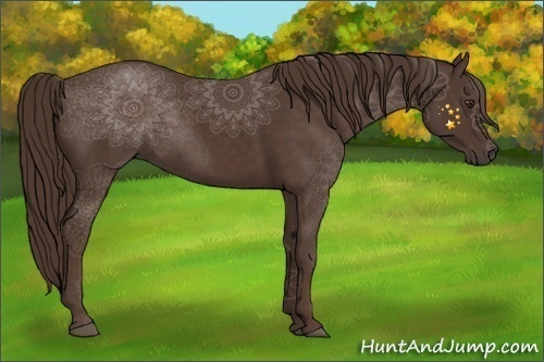 Horse Color:Liver Chestnut 
