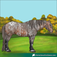 Horse Color:White Spotted Silver Brown Chinchilla Dun  and Brown Varnish 
