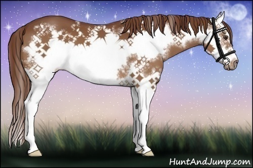 Horse Color:Chestnut Splash Frame 