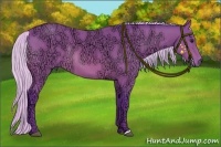 Horse Color:Watercolor Silver Bay Ice