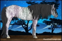 Horse Color:Black Ice Rabicano 