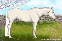 Horse Color:Cremello 