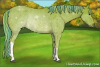 Horse Color:Painted Watercolor Chestnut Rabicano 