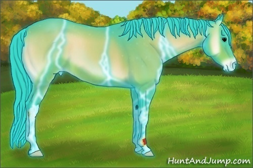 Horse Color:Thunderstruck Watercolor Bay Onyx Appaloosa 
