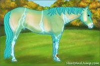 Horse Color:Thunderstruck Watercolor Bay Onyx Appaloosa 