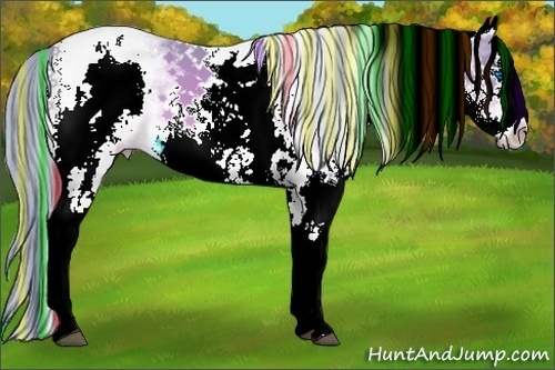 Horse Color:Painted Watercolor White Spotted Bay Splash 
