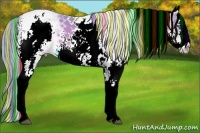 Horse Color:Painted Watercolor White Spotted Bay Splash 