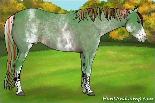 Horse Color:Painted Watercolor White Spotted Bay 