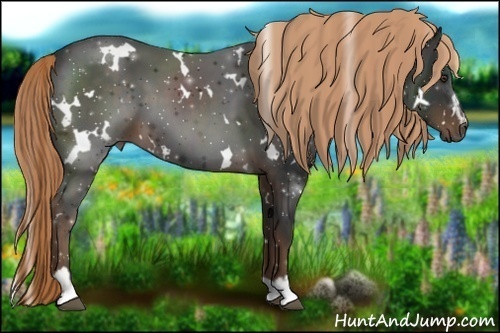 Horse Color:White Spotted Liver Chestnut Sabino 