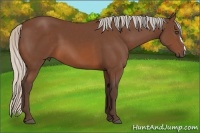Horse Color:Silver Brown 