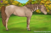 Horse Color:Liver Red Roan Pearl 