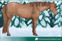Horse Color:Black Pearl 