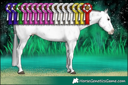 Horse Color:Grullo Sabino Splash 