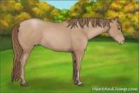 Horse Color:Black Pearl 