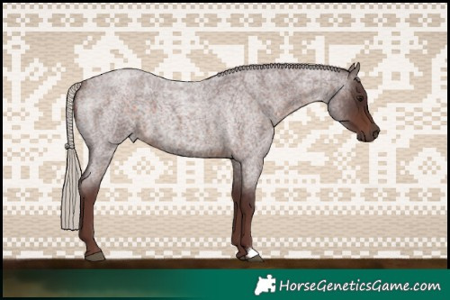 Horse Color:Chocolate Silver Brown Roan 