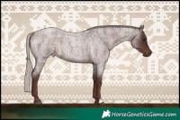 Horse Color:Chocolate Silver Brown Roan