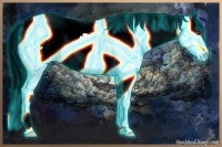 Horse Color:Thunderstruck Liver Chestnut Chinchilla Pearl Tobiano Varnish Rabicano 