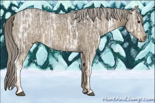 Horse Color:Chocolate Palomino Ice 