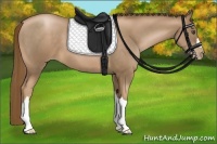 Horse Color:Liver Chestnut Pearl