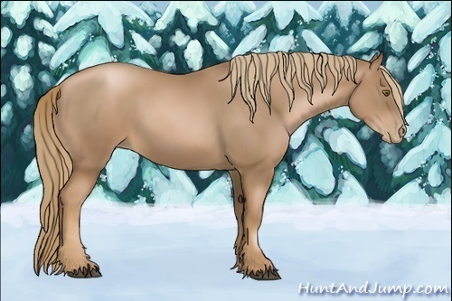 Horse Color:Liver Chestnut Pearl