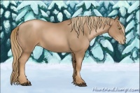 Horse Color:Liver Chestnut Pearl 
