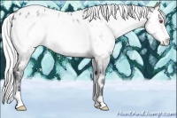 Horse Color:Silver Buckskin Chinchilla Onyx Near Leopard