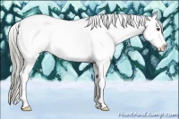 Horse Color:Chocolate Palomino Mushroom Sabino Varnish 