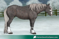 Horse Color:Silver Brown Ice