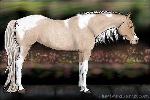 Horse Color:Silver Blue Roan Pearl Tobiano Frame