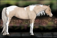 Horse Color:Silver Blue Roan Pearl Tobiano Frame 