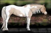 Horse Color:Silver Blue Roan Pearl Tobiano Frame 