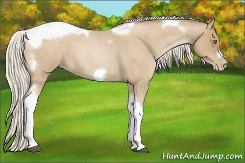 Horse Color:Silver Blue Roan Pearl Tobiano Frame 