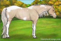 Horse Color:Silver Blue Roan Pearl Tobiano Frame 