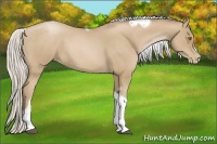 Horse Color:Silver Blue Roan Pearl Tobiano Frame