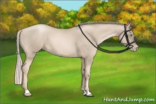 Horse Color:Chocolate Palomino Pearl 