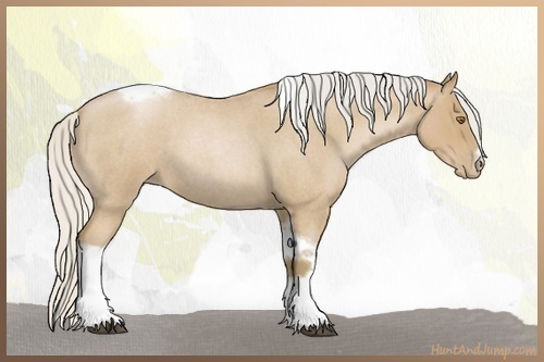 Horse Color:Silver Blue Roan Pearl Tobiano Frame 