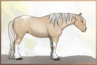 Horse Color:Silver Blue Roan Pearl Tobiano Frame 