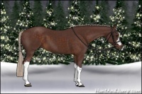 Horse Color:Chocolate Silver Brown  and Chocolate Silver Brown 