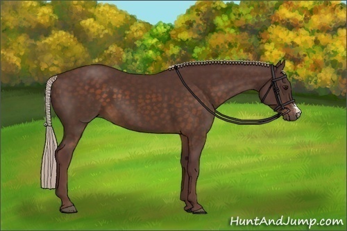 Horse Color:Chocolate Silver Brown 