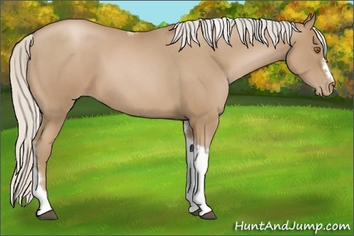 Horse Color:Silver Blue Roan Pearl Tobiano Frame 