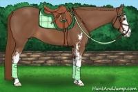 Horse Color:Chestnut Sabino