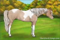 Horse Color:Silver Blue Roan Pearl Tobiano Frame 